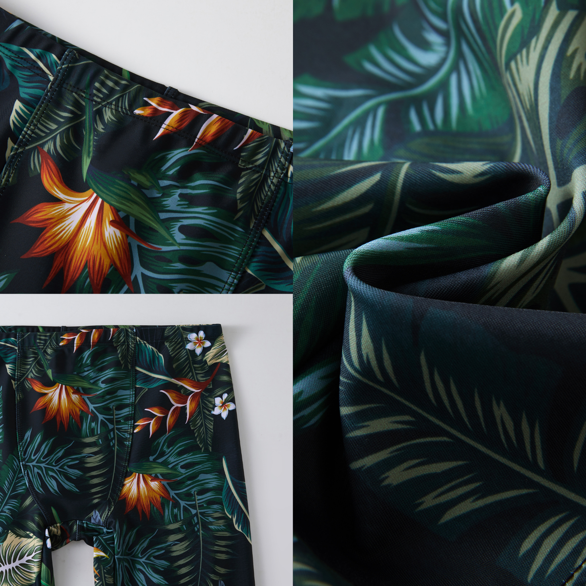 Tropics — image 6