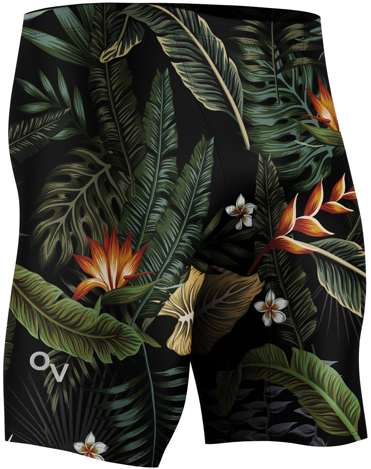 Tropics